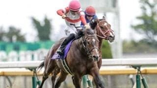 京王杯SCでGI馬3頭が激突 それぞれ復活へのきっかけとなるか