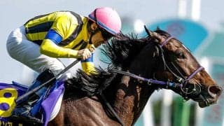 【ヴィクトリアM・調教後馬体重】スターズオンアースは496kg、ソダシは488kg