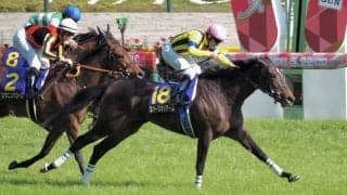 【ヴィクトリアマイル】出走馬の調教後の馬体重