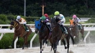 2023ヤングジョッキーズシリーズの日程と出場騎手