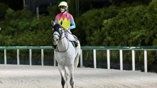 ハヤブサナンデクンが競走馬登録抹消
