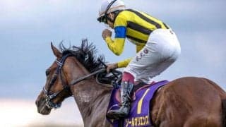 五月病と日米ダービー制覇の夢/島田明宏