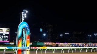 競走除外馬の収容に時間要しレース取り止め 大井競馬の10R