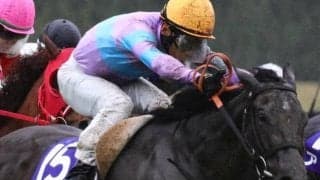 ミッキーアイル産駒2頭はマイル克服が鍵 ヴィクトリアMで父にGIタイトルを届ける