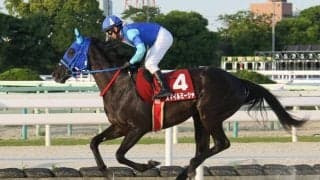 【園田・のじぎく賞】スマイルミーシャが断然人気に応える…5馬身差圧勝