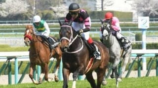 【京都ハイJ枠順確定】ダイシンクローバーは8枠10番、テリオスルイは6枠7番