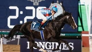 イクイノックスが世界1位守る ロンジンワールドベストホースランキング発表