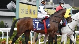 宝塚記念にG1・4勝の香港馬が登録