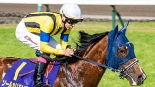 無敗の二冠に挑むソールオリエンスなど 日本ダービー出走想定馬19頭