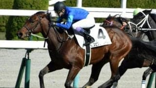 【土曜京都6R予想】1年半ぶりでも能力信頼 初ダートもプラスに