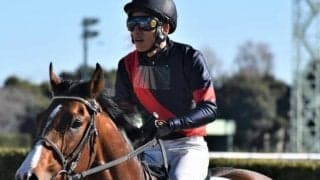 【土曜東京2R予想】待望の東京マイル替わり 相手関係にも恵まれ初勝利だ