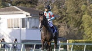 【今日の注目ポイント】東京で安田記念前哨戦の京王杯SC、京都では障害重賞の京都HJ