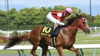 【京王杯SC予想】安田記念への切符をかけた戦い 距離適性をしっかりと見定めたいレース