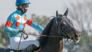 【京都HJ予想】飛越の安定性＆騎手の技量が問われる難コース