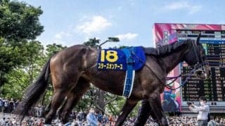 【ヴィクトリアM予想】65戦1勝!? スターズオンアースも該当する「信じがたい」データ