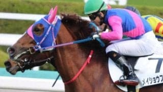 東京9R日吉特別はメイショウフンケイの一変に期待