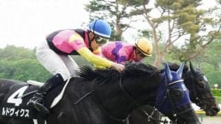 【弥彦S】新潟巧者のルドヴィクス 外差し馬場なら出番あり