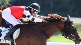 【日曜東京7R予想】前走は不完全燃焼 ミニョンルミエールの巻き返しだ