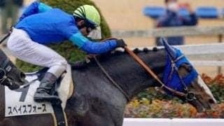 【日曜東京6R予想】臨戦過程も後押し 待望の東京ダ2100mで本領発揮だ