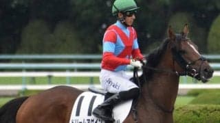 【日曜京都8R予想】2桁着順続きでも見限れない ガラリ一変期待で大穴狙う