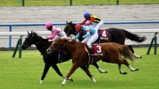 【京都ハイジャンプ】ダイシンクローバーが激戦を制する…人気2頭が落馬