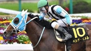 【栗東S予想】複勝率40％！ 京都ダ1400mはオルフェーヴル産駒の十八番