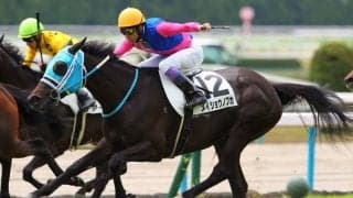 【京都3R】武豊 メイショウノブカが大外から一閃