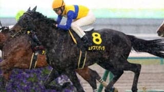 【都大路S】武豊 エアファンディタがV…大雨を切り裂く直線一気が炸裂