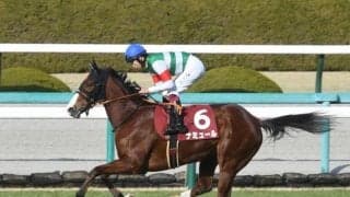 【ヴィクトリアM予想】スピードと切れ味が求められる「春の女王決定戦」