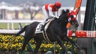 皐月賞５着もショウナンバシットは「前走よりよくなっている」陣営はダービーに向けて好感触