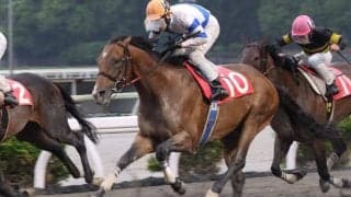 【高知・ベストウォーリア賞】モダスオペランディが人気に応える…赤岡「交わせる感覚あった」