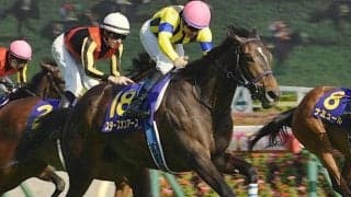 【ヴィクトリアM・馬体重】スターズオンアースは484kg(増減なし)、ソダシは488kg(+8kg)