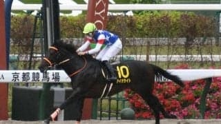 【栗東S結果】5番人気のアイオライトが7馬身差圧勝