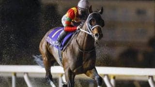 【平安S】グロリアムンディ、ハギノアレグリアスらが登録