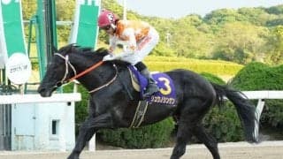 【佐賀スプリングC結果】リュウノシンゲンが早め先頭から押し切る