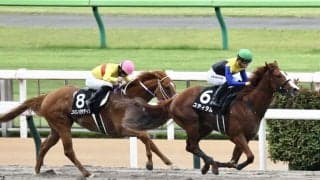【青竜S】ジャスティファイ産駒 ユティタムが3連勝