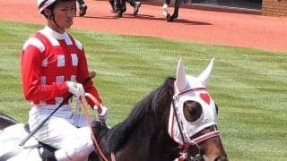 アイラブユーが右第3中足骨開放骨折を発症など 14日の出来事一覧/新潟・東京・京都