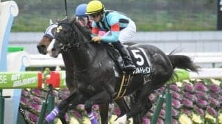 ソウルトレインが予後不良に 新潟11R弥彦Sに出走