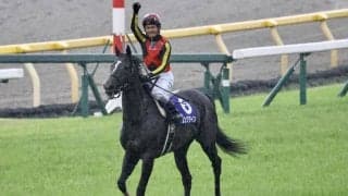 【ヴィクトリアマイル】戸崎「馬を信じて内を選択」ソングラインが接戦を制する