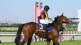 21日にオークスが開催 3歳牝馬の頂点に立つのはどの馬か/今週の競馬界の見どころ