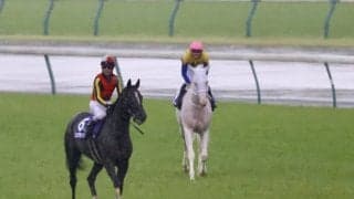 【ヴィクトリアマイル】レーン「力は出し切った」レース後ジョッキーコメント