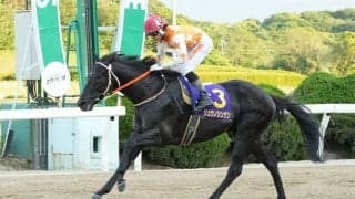 【佐賀スプリングC】断然人気リュウノシンゲンが佐賀重賞4勝目…ヒストリーメイカーは2着