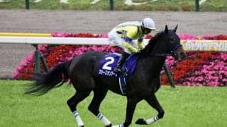 【ヴィクトリアマイル】話題のジョッキーカメラ装着は、スターズオンアースのルメール騎手