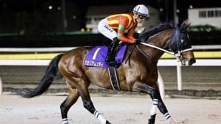 【平安S登録馬】グロリアムンディなど23頭