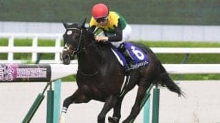 【宝塚記念】ファン投票の実施決定！ 18日からWeb限定でスタート