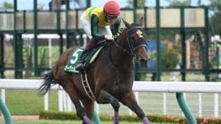 【川崎マイラーズ枠順】21年の東海S・平安Sを制したオーヴェルニュは8枠10番