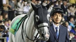 今年のマーチS覇者ハヤブサナンデクン、天皇賞(春)出走のトーセンカンビーナなどがJRA登録を抹消