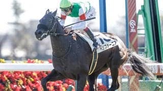 【AI予想・オークス】リバティアイランドに妙味なし!? 人工知能が推奨する伏兵「◎」とは