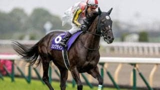 東京芝マイルと好相性のソニンク牝系 強さを改めて印象付ける勝利に