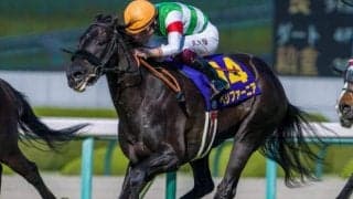 ダービーでハナ差2着だった兄の雪辱へ 同じ東京芝2400m舞台に妹がオークス制覇だ